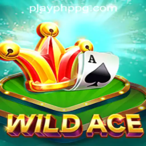 Exploring WildAce: A New Frontier in Casino Gaming